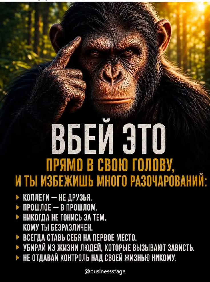 Вбей себе в голову
